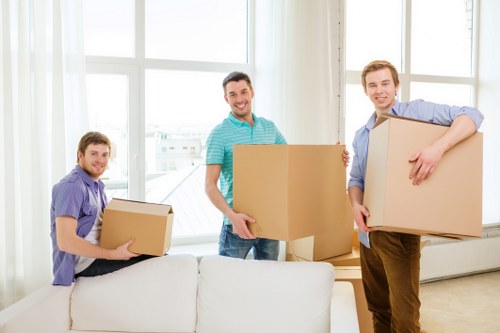 Professional packing materials and boxes for storage or relocation
